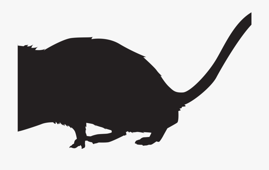 Computer Mouse Clipart Silhouette Free Clipart On