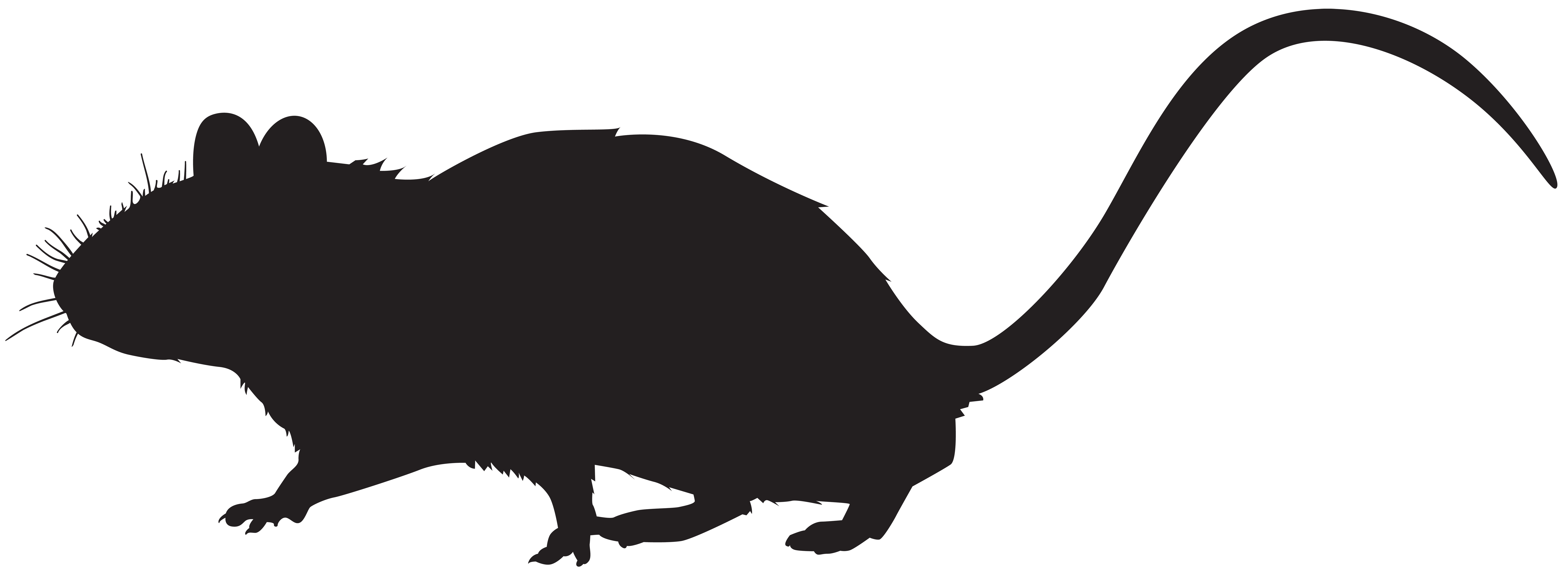 Mouse silhouette png.