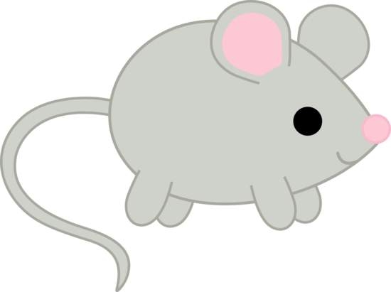 Cute little mouse.