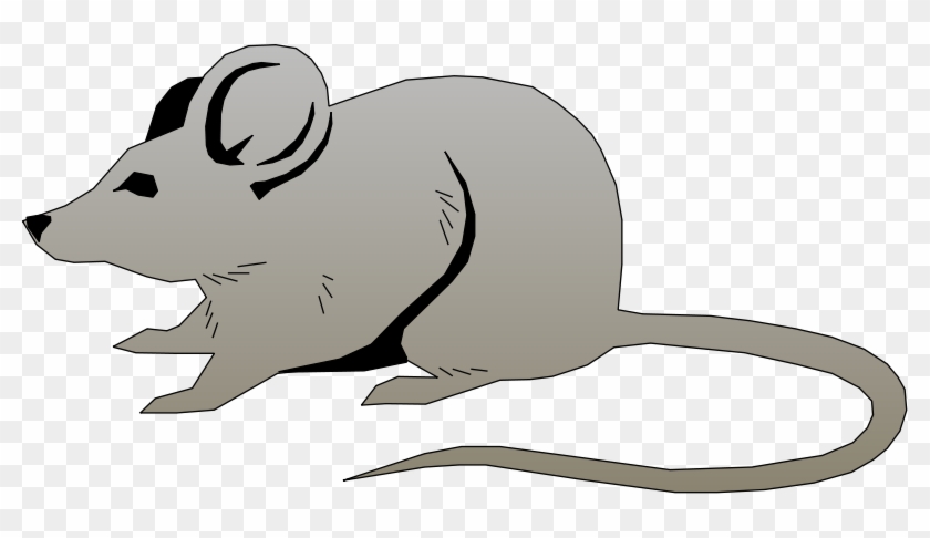 Mouse Free Vector