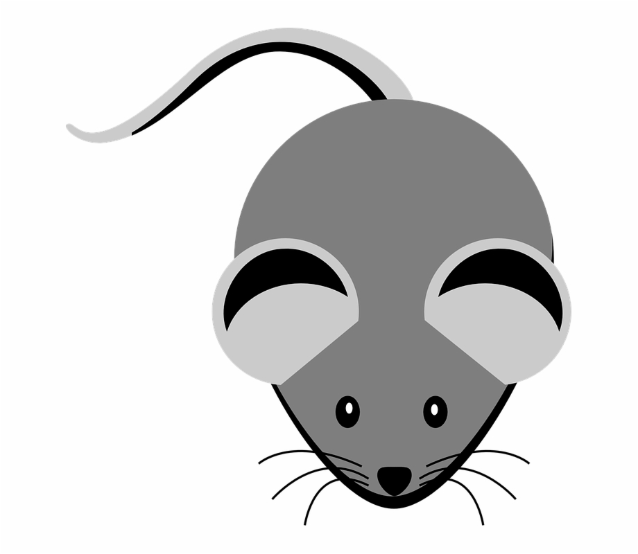 Mice clipart nose.