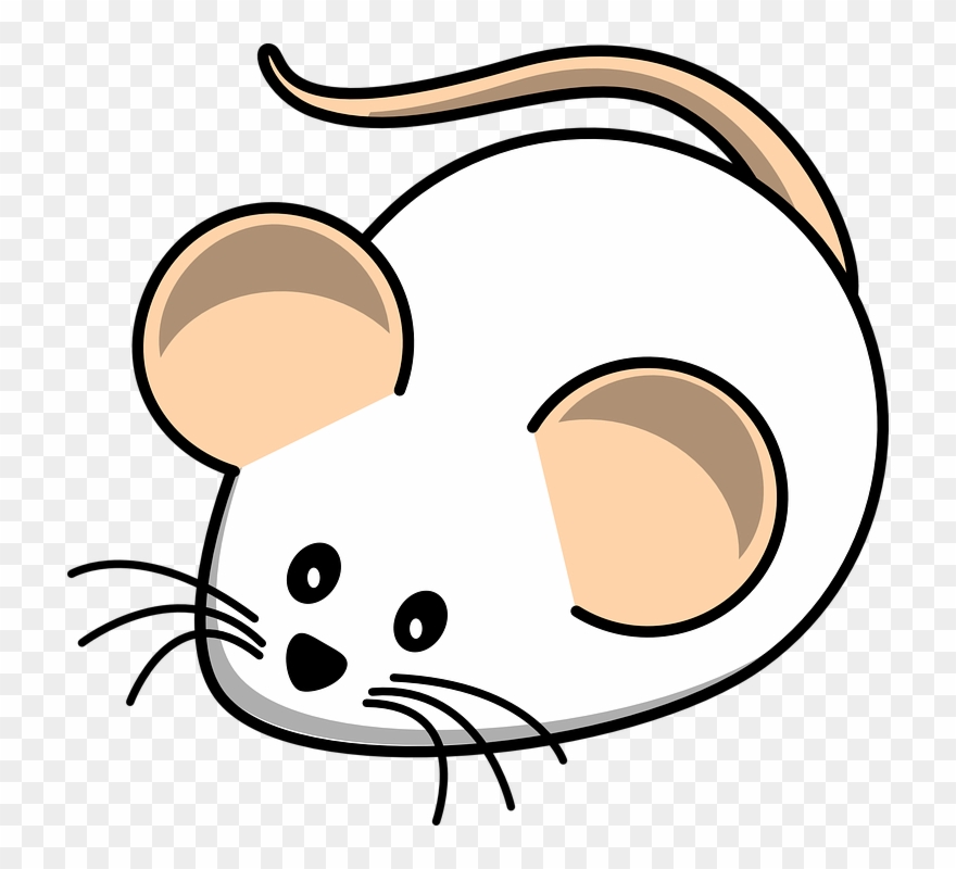 Cartoon Mouse Pictures