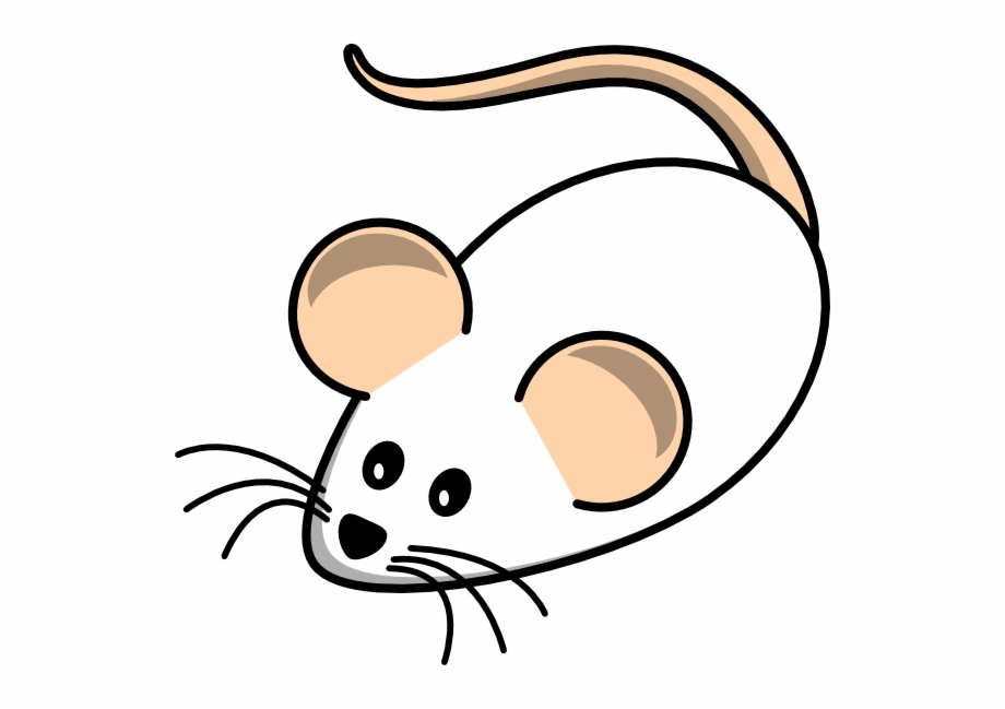 Field Mouse White Clip Art At Clipart