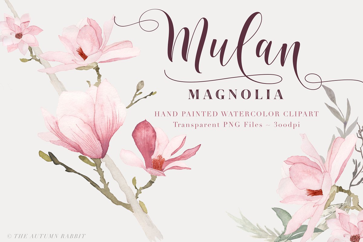 Watercolor magnolia floral.