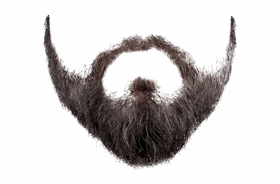 Free Realistic Mustache Png, Download Free Clip Art, Free
