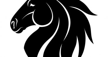 Mustang Horse Head Vector Archives