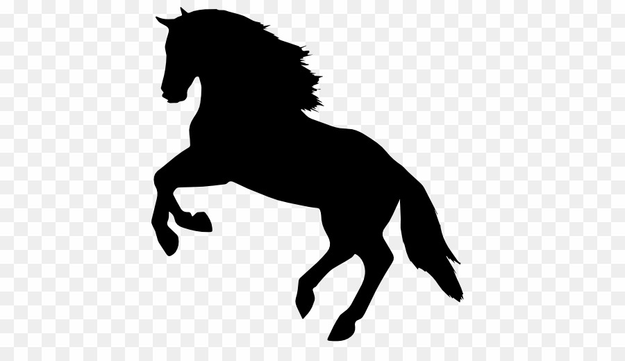 Horse Silhouette Transparent Background PNG Mustang