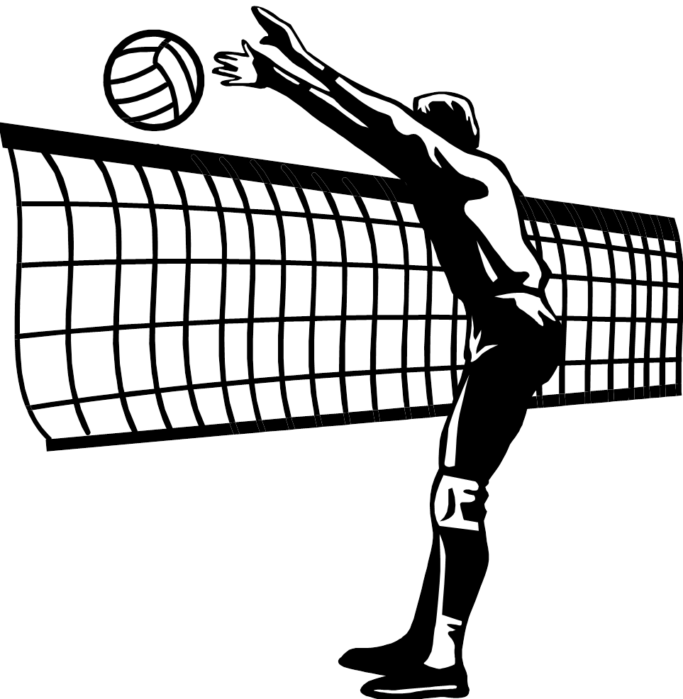 Mustang clipart volleyball.