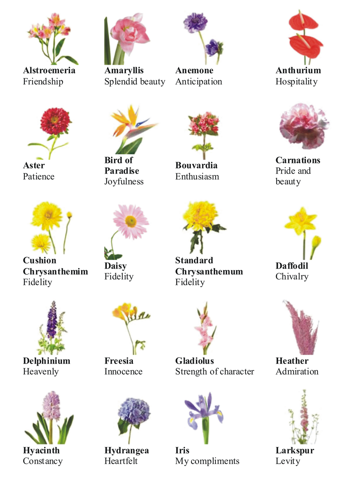 Name clipart flower, Name flower Transparent FREE for