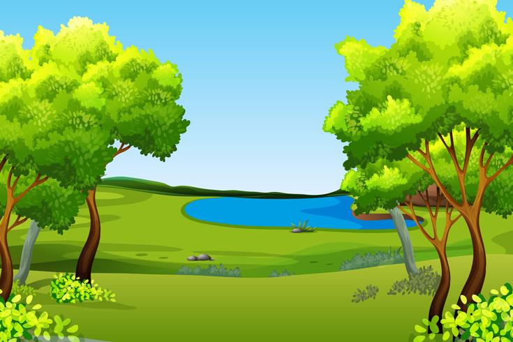A green nature background