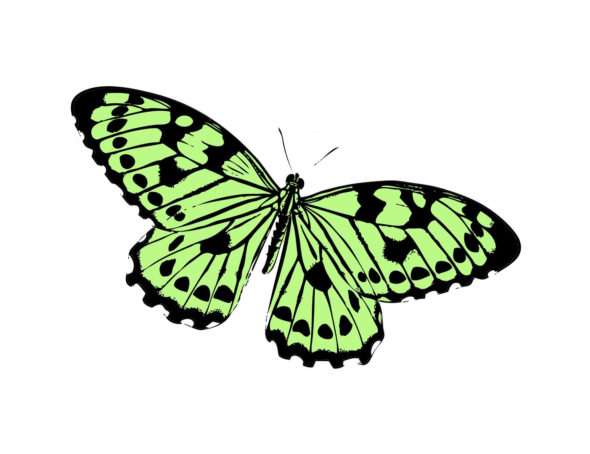 Butterflygreenclipartillustrationnature free photo.