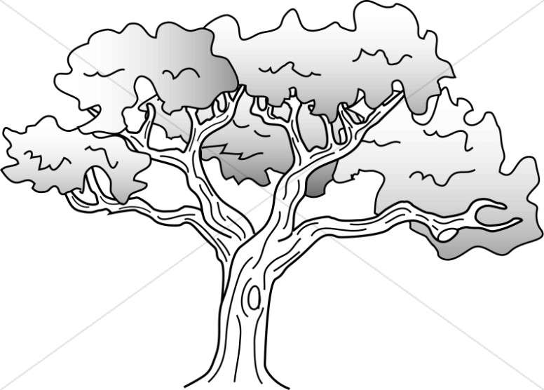 Simple oak tree.