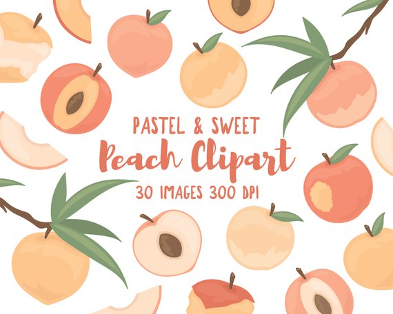Peach Clipart, Peach Illustrations, Fruit Clipart, Garden