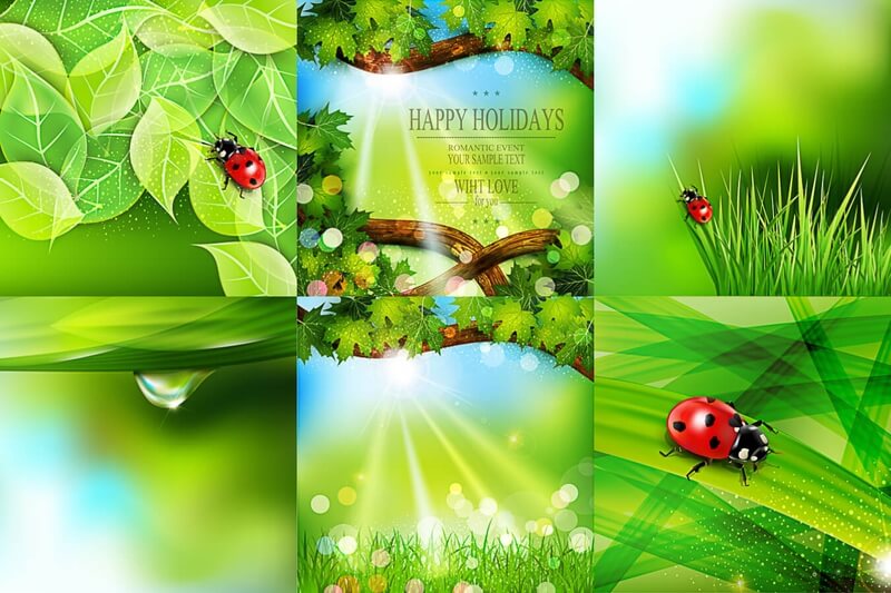Spring Summer nature clipart vector backgrounds with ladybug