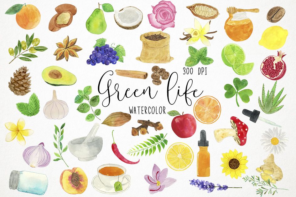 Watercolor Nature Clipart, Herbs Clipart, Health Clipart