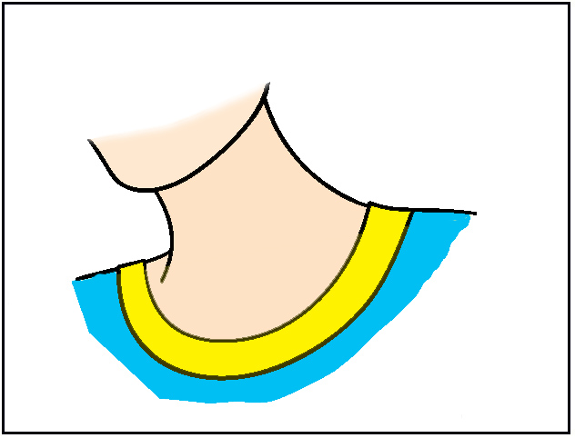 Neck clipart, Neck Transparent FREE for download on