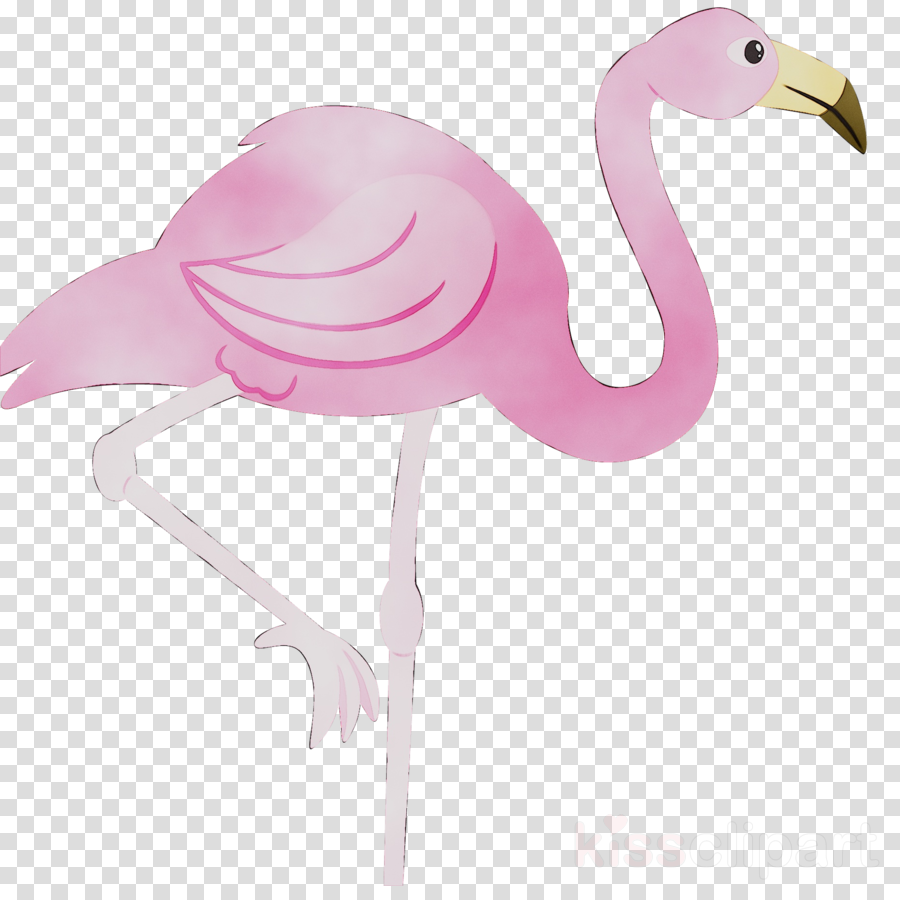 Pink flamingo clipart.