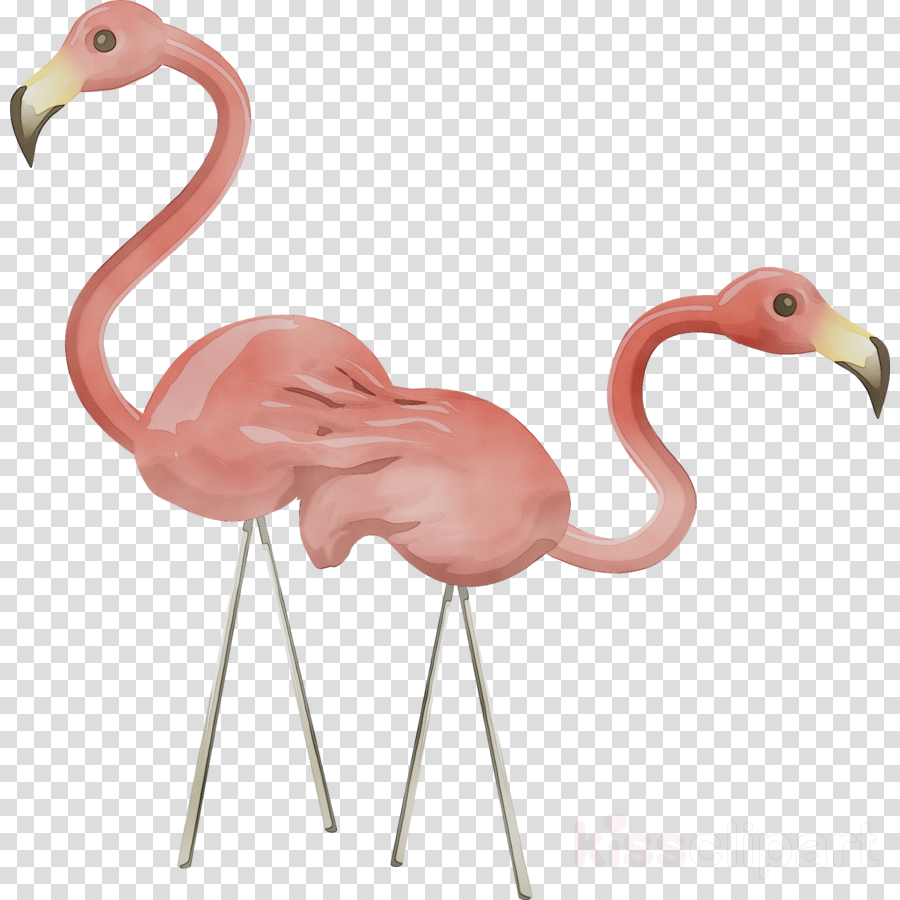 Flamingo cartoon clipart.