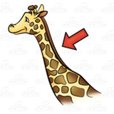 Giraffe neck with.