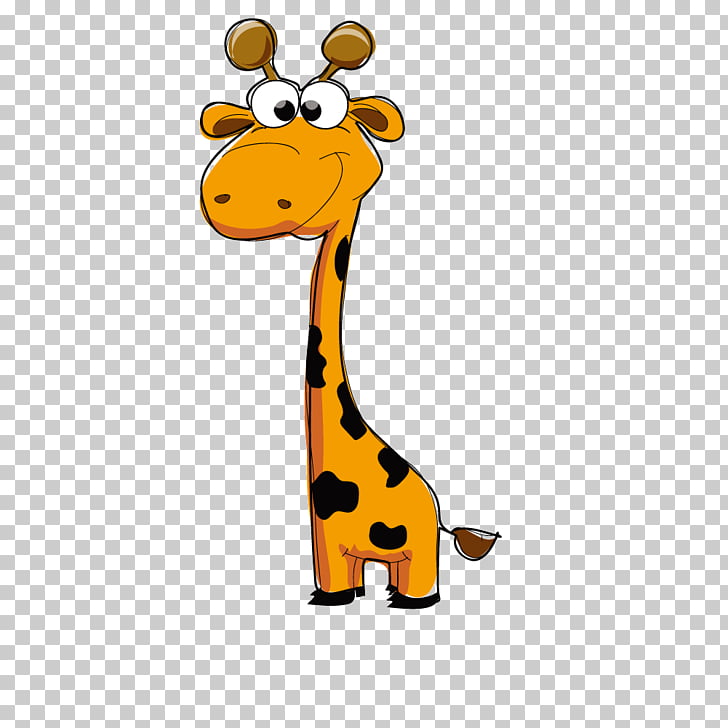 Giraffe neck cute.