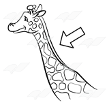 Giraffe neck giraffe.