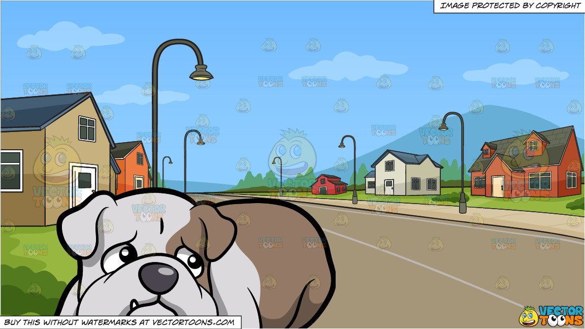 A Scared English Bulldog and A Neighborhood Subdivision Background