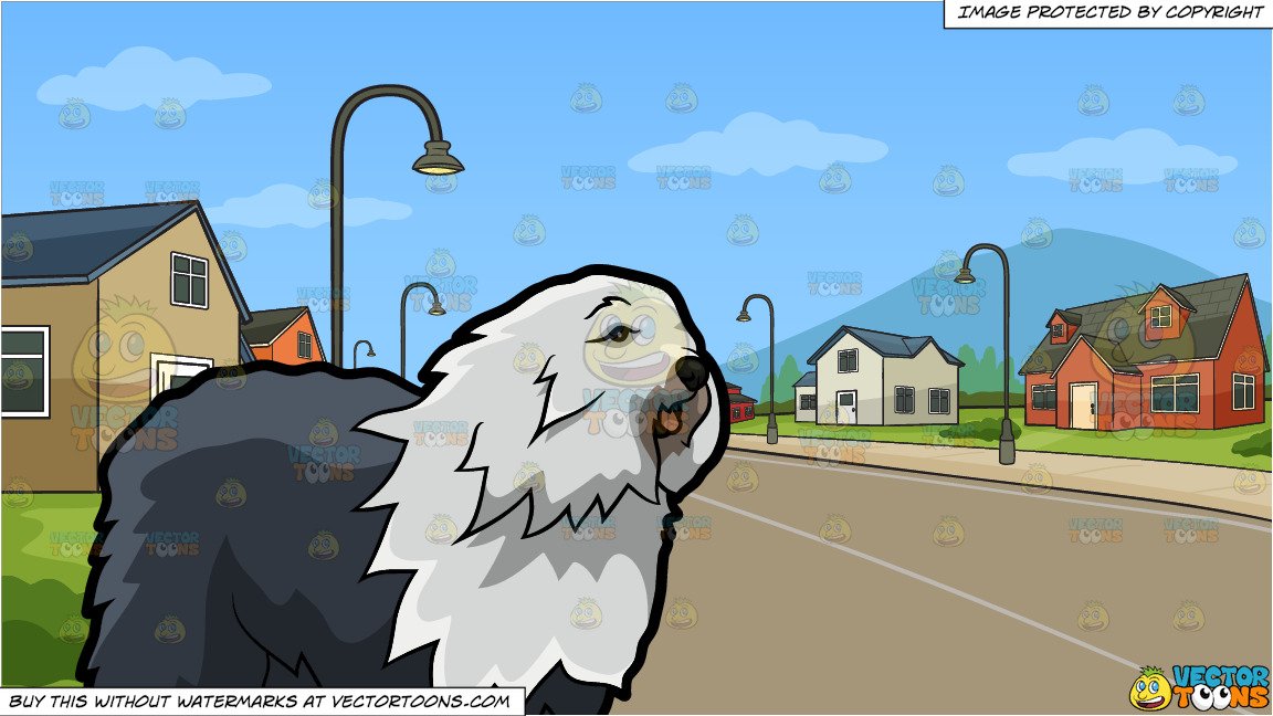 A Beautiful Old English Sheepdog and A Neighborhood Subdivision Background