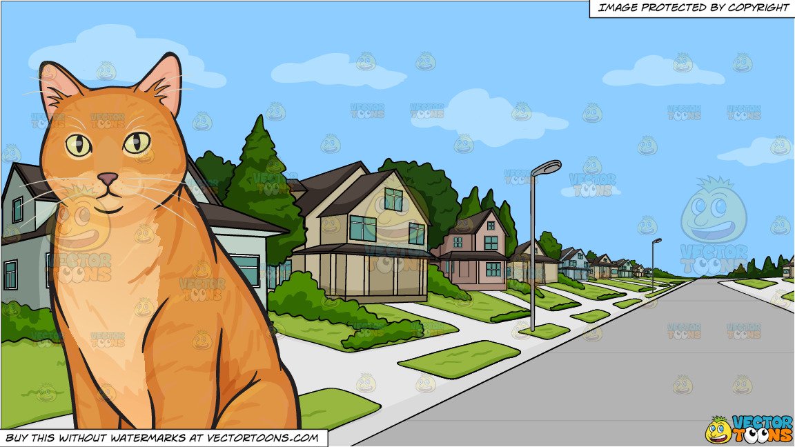 A beautiful orange cat and A Suburban Neighborhood Background