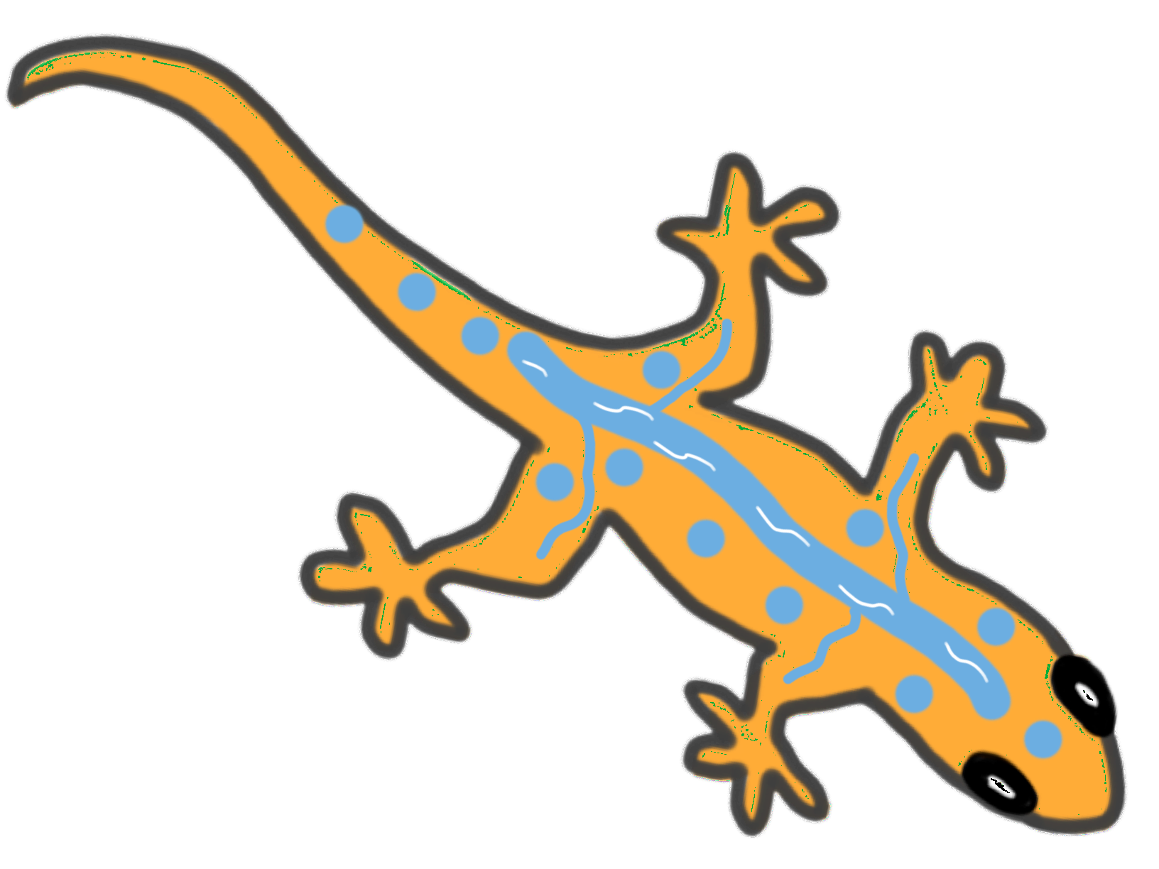 Lizard clipart newt, Lizard newt Transparent FREE for