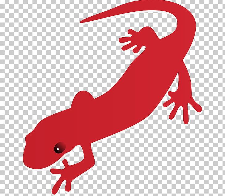 Salamander newt png.