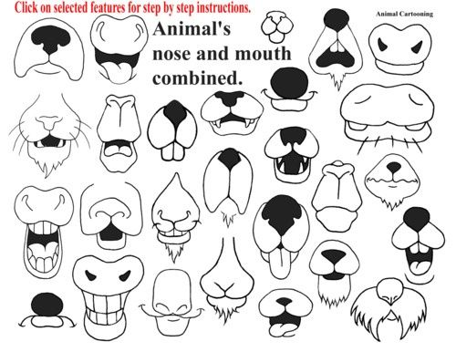 nose black and white clipart animal