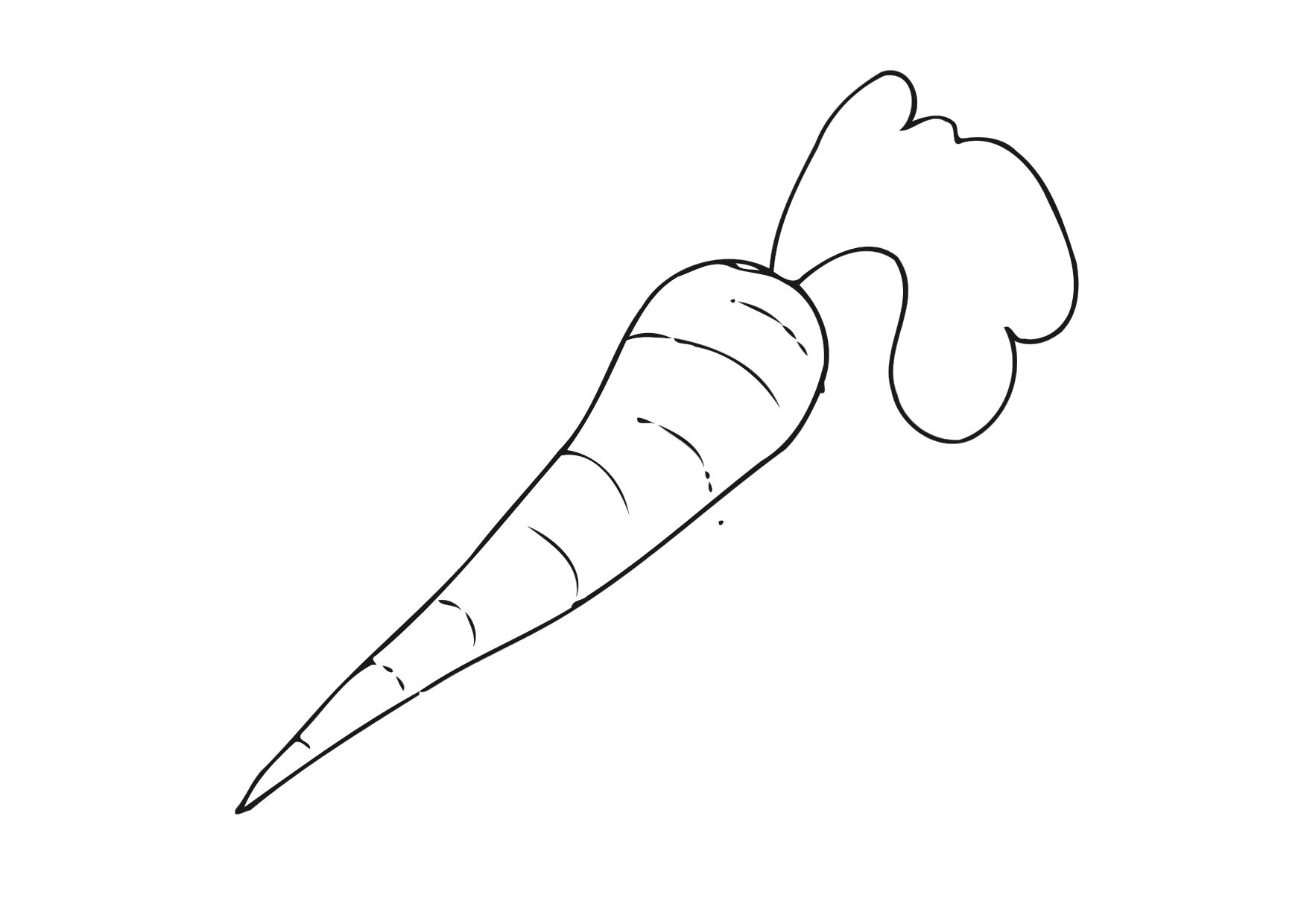 Free Carrot Black And White Outline Coloring Page Free