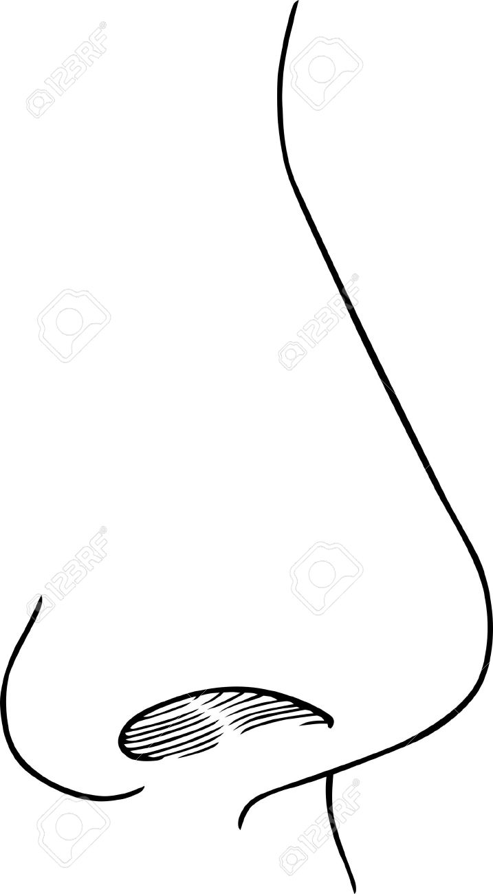 nose black and white clipart cartoon