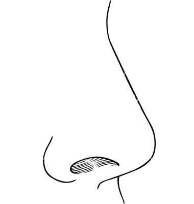 Human nose clipart black and white