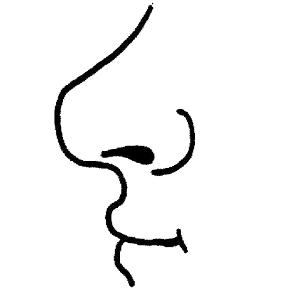 Clipart black and white nose