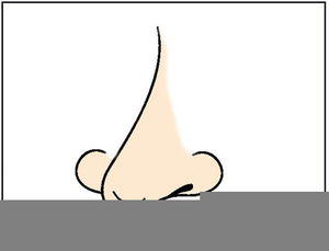 Free Animated Clipart Nose