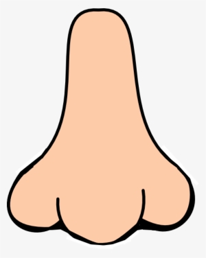Nose clipart png.