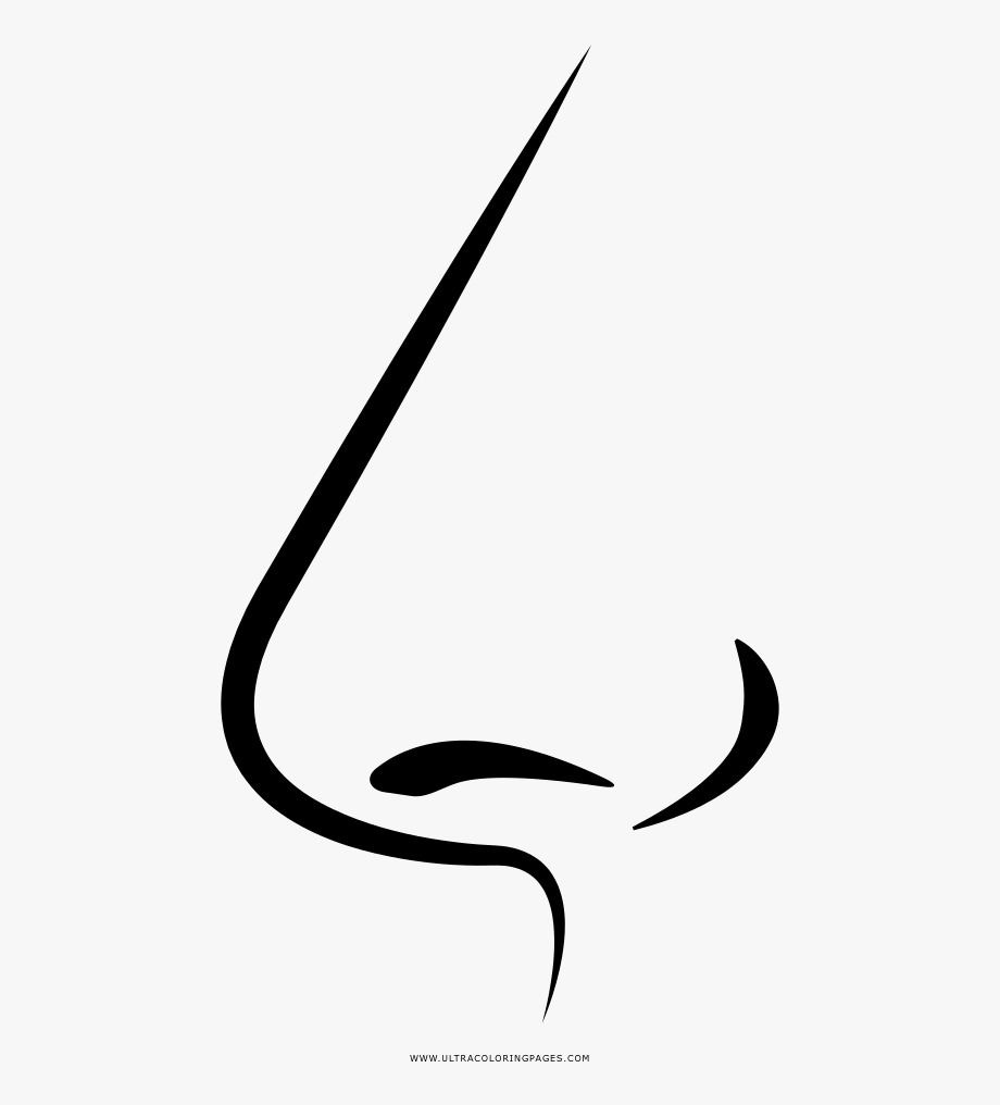 Nose coloring page.