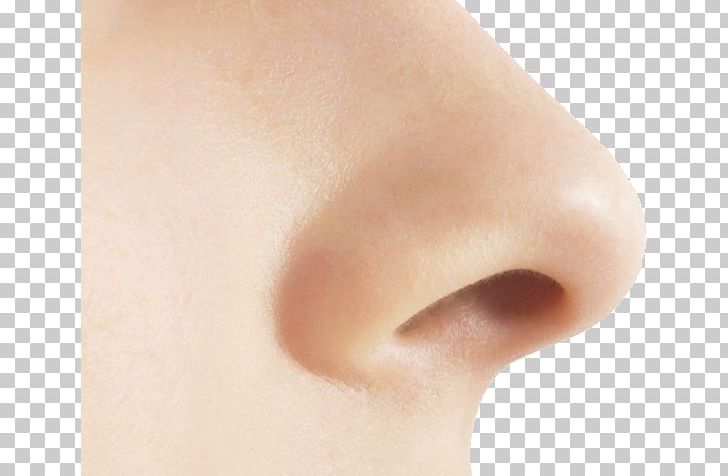 Human nose olfaction.