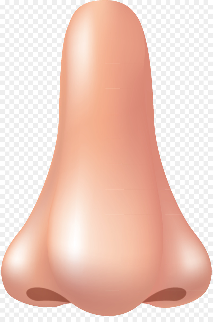 Nose png clipart.