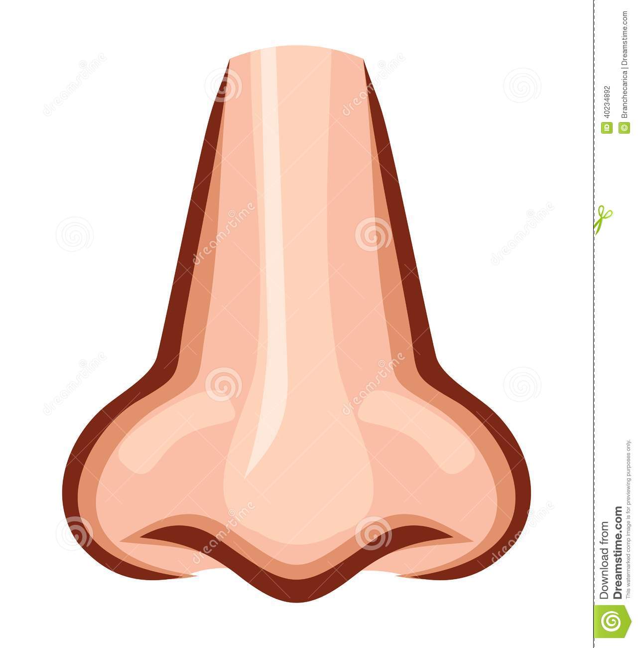 Nose clipart for.
