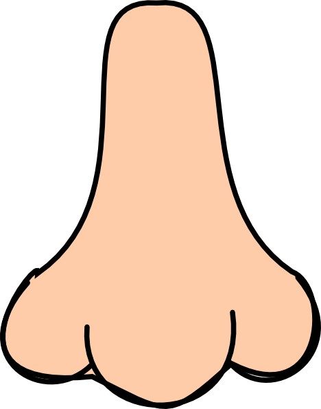 Nose clipart for.