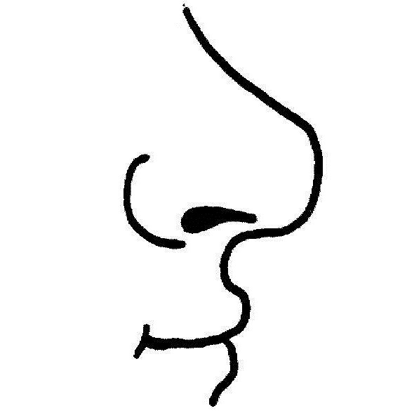 Nose Black And White Clipart in Nose Clipart Black And White