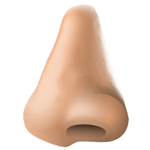Realistic nose clipart.