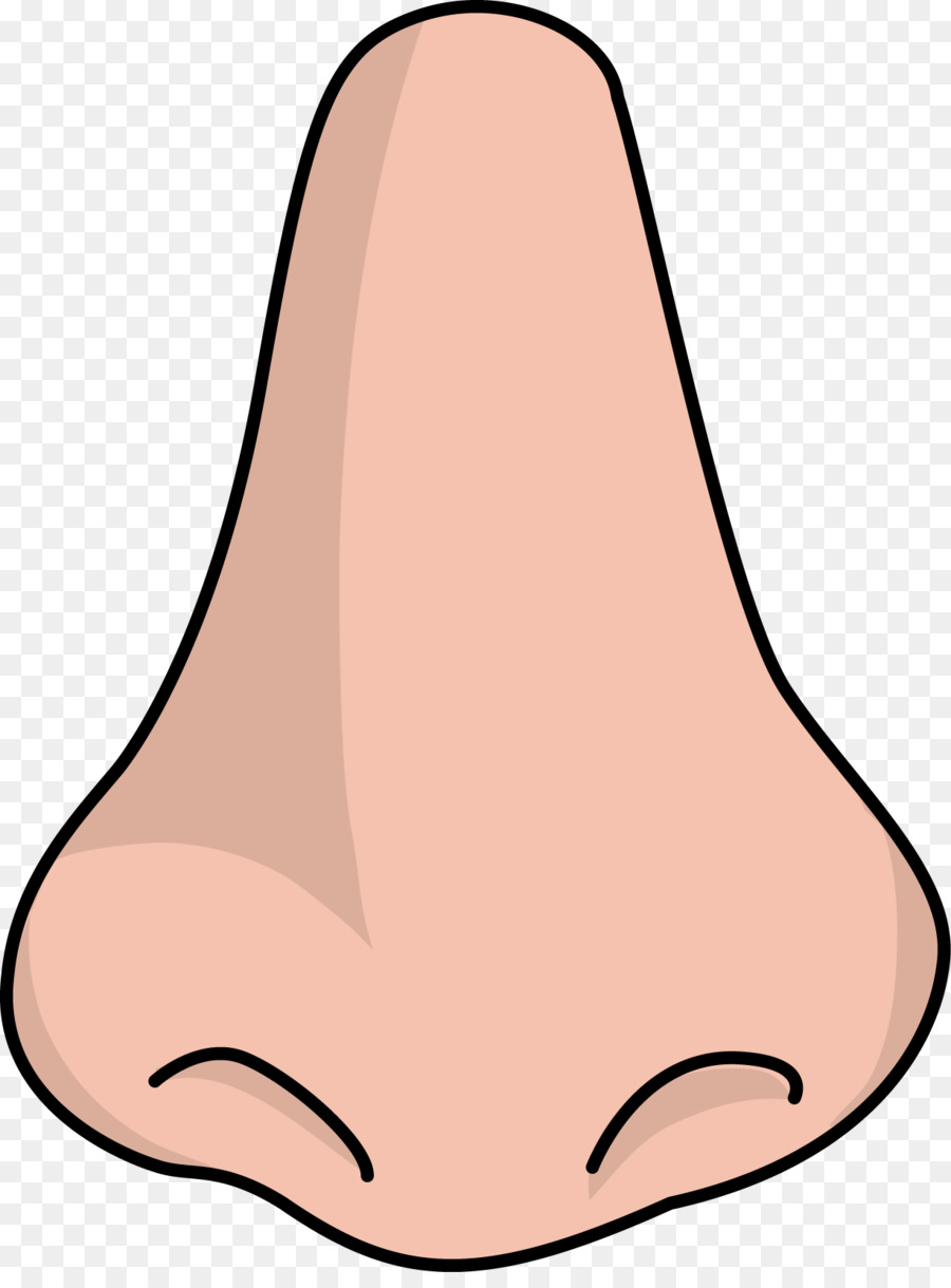 nose clipart realistic
