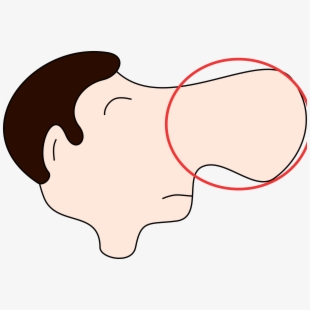 Nose clipart small.