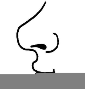 Clipart Nose Smelling