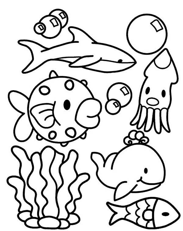 Animal coloring pages.
