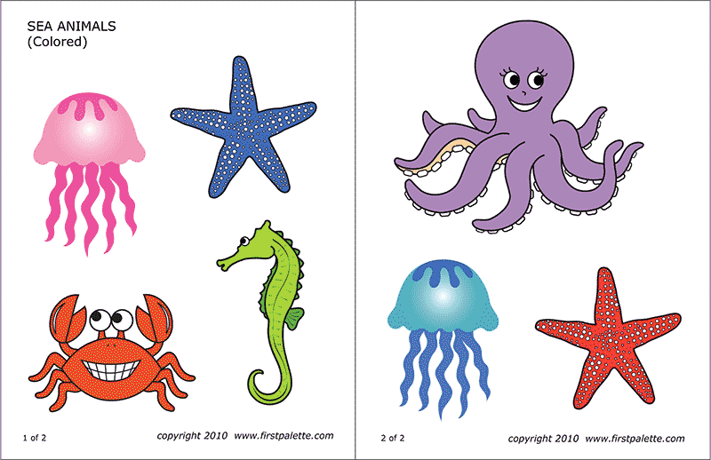 ocean animal clipart color
