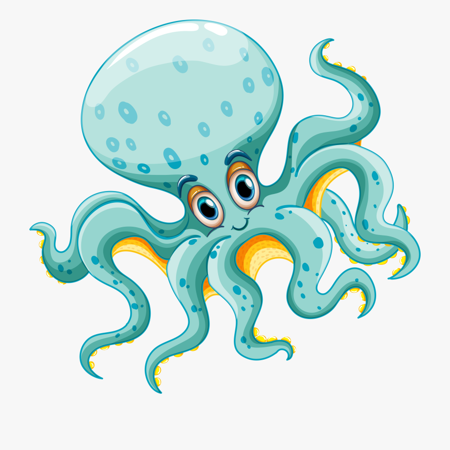 Clipart Animals Octopus